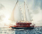 Pirates Floating Restaurants _ الغردقة