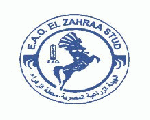 مدرسة الزهراء لتعليم الفروسية