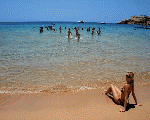 شاطئ غزالة شاطئ غزالة