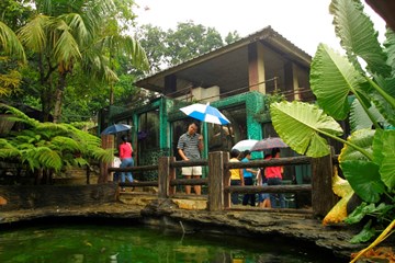 حديقة الحيوانات حديقة الحيوانات