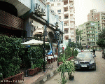 مطعم اسماك البحر الاحمر مطعم اسماك البحر الاحمر