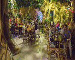Jungle Restaurants