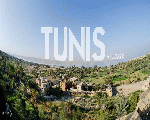 قرية تونس
