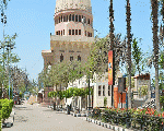 نادي جزيرة الورد