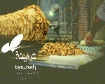 ترويئة - Tarweah