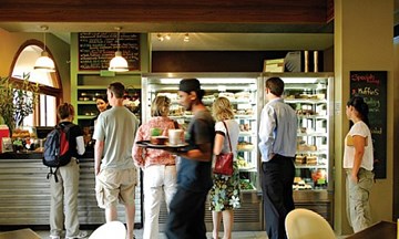 مقهى شجرة الليمون