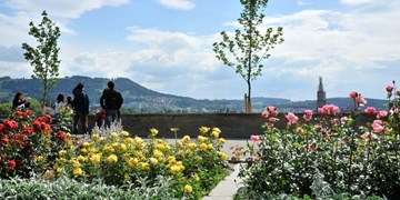 روزنغارتن روزنغارتن