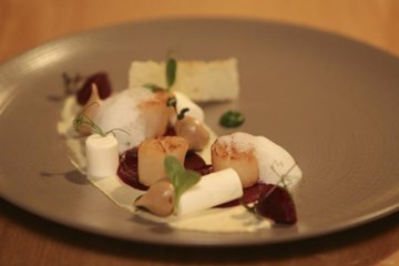 ويين & سيين ويين & سيين