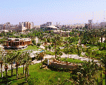 حديقة الأسرة Family park