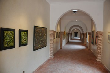 متحف دي لا بالميريا