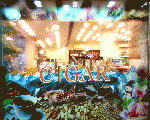 سيجار كافيه