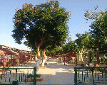 حديقة الفردوس