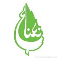 نعناع