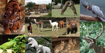 حديقة الحيوانات